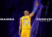 爱游戏tv-逆转的艺术，德国队绝地翻盘印度队，陈雨菲关键时刻定乾坤