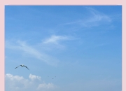 爱游戏下载-大连海外势不可挡，轻松胜出