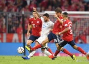 爱游戏-包含霍芬海姆惨遭逆转，德甲保级任务艰巨的词条