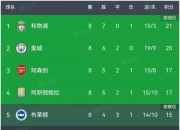 爱游戏下载-曼彻斯特城主场赢球，领跑英超积分榜