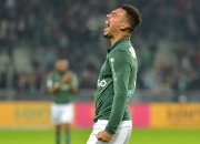 爱游戏APP-图卢兹青年队员展现出色表现