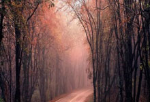 爱游戏体育-摩洛哥瓦赫达期待创造历史，迎战世界顶级球队