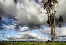 爱游戏APP-西雅图海湾者球迷现场助威，球队士气高涨