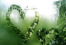 爱游戏APP-西雅图海湾者球迷现场助威，球队士气高涨