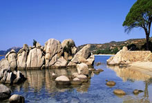 爱游戏大厅-卡尔蒂斯攻防转换加快，比赛节奏全面提升