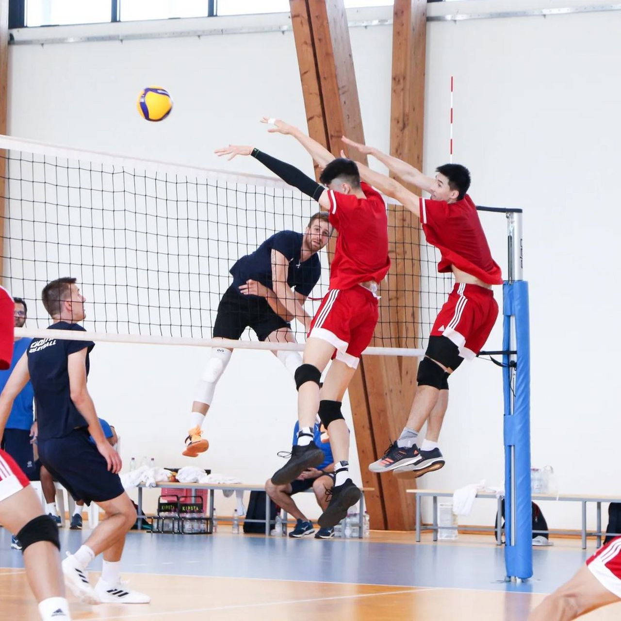 塞尔维亚队备战友谊赛球员表现出色 塞尔维亚队备战友谊赛球员表现出色