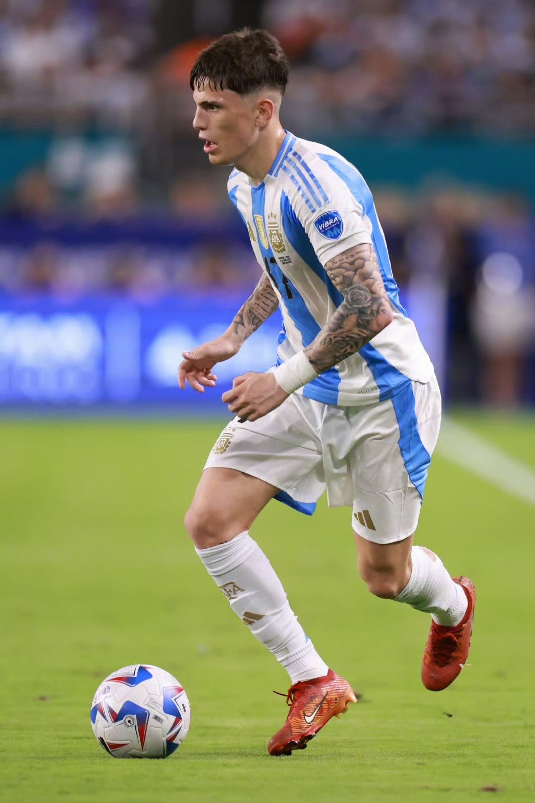 阿根廷运动员突围击败对手夺得跳水金牌 阿根廷运动员突围击败对手夺得跳水金牌