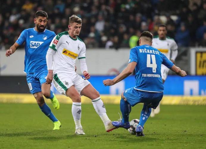 霍芬海姆主场作战,球队信心高涨 霍芬海姆主场作战,球队信心高涨