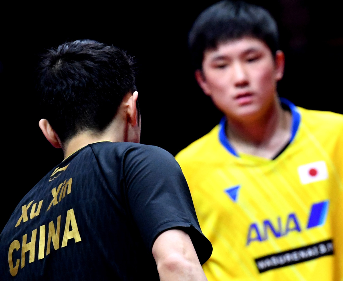 日本队鏖战德国队，许昕惊艳四座的简单介绍