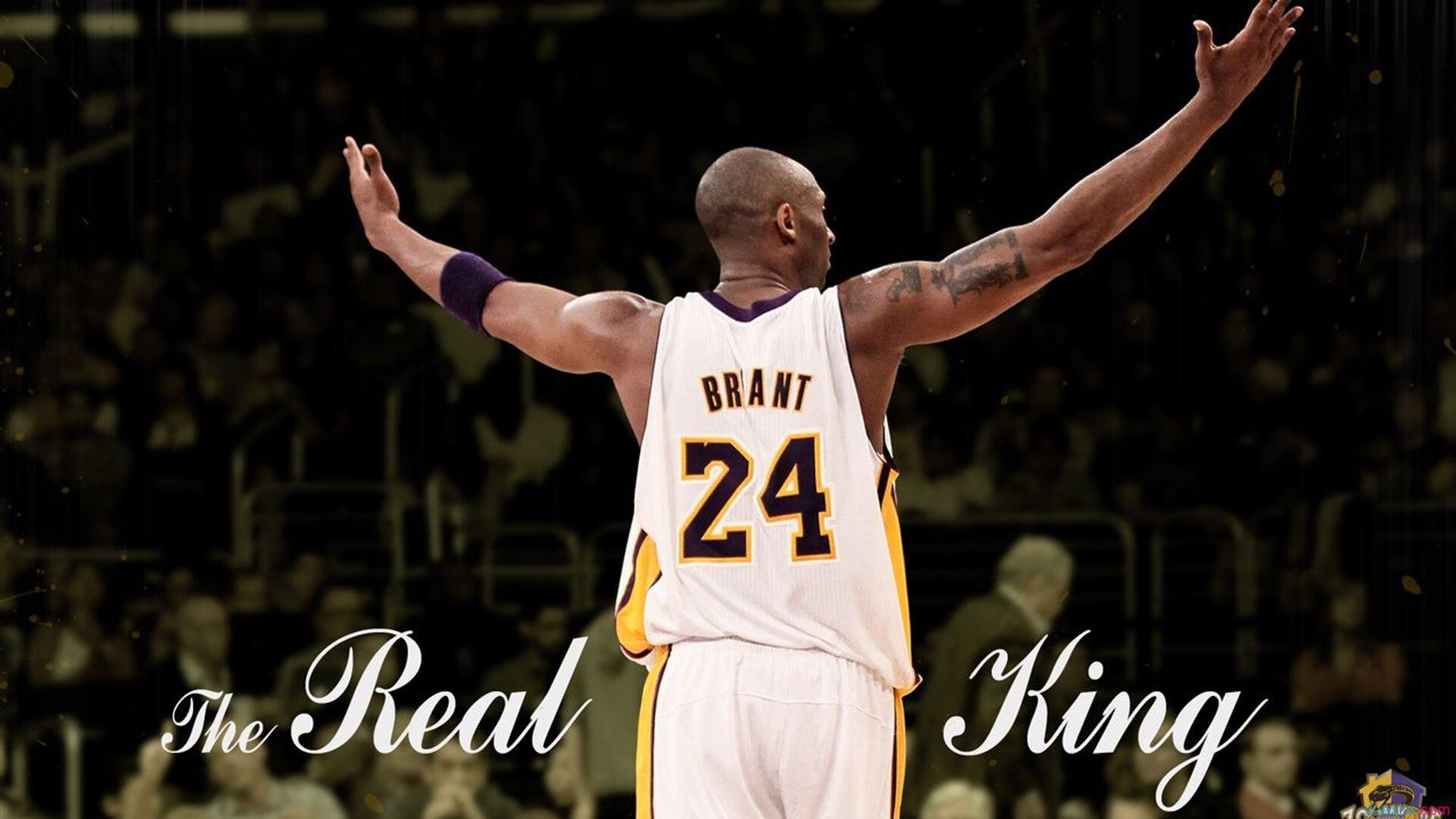 骑士防守锁定胜局,戈贝尔制霸禁区,同一夜晚,统治力没有边界