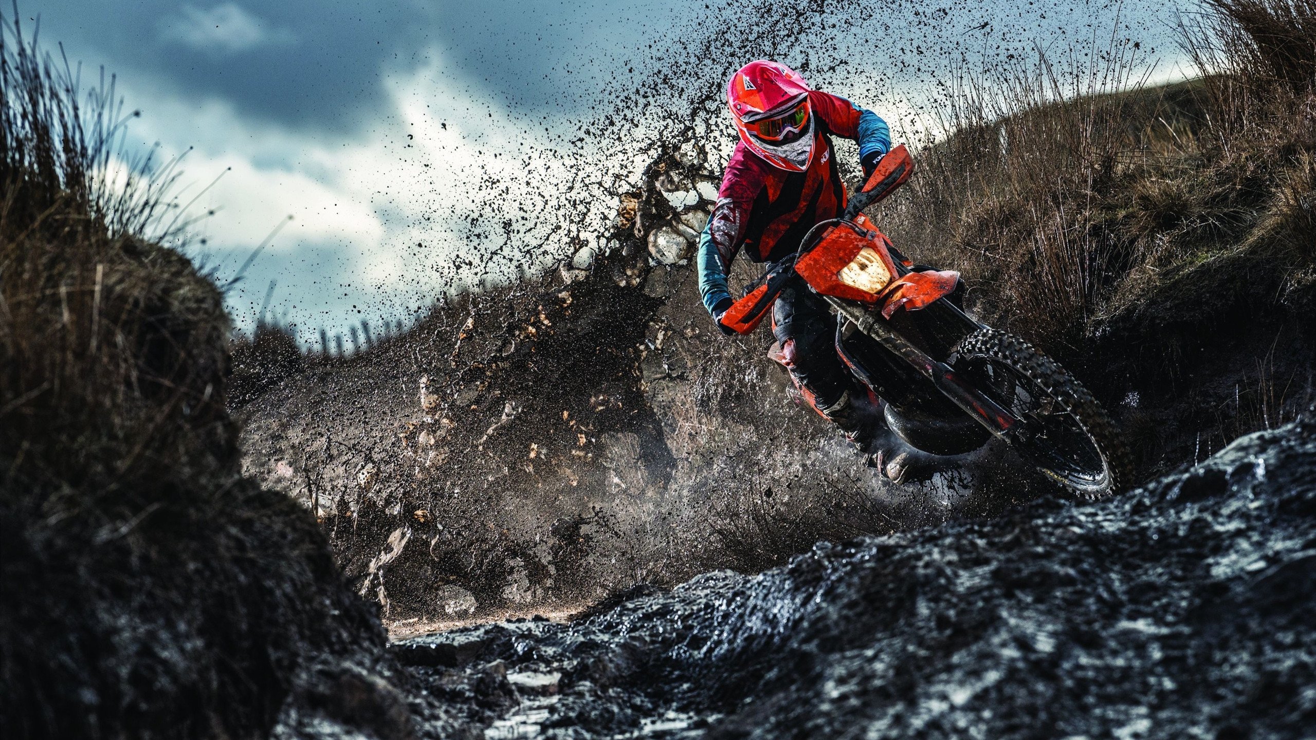 东契奇雷霆万钧,映照出辽宁队何去何从