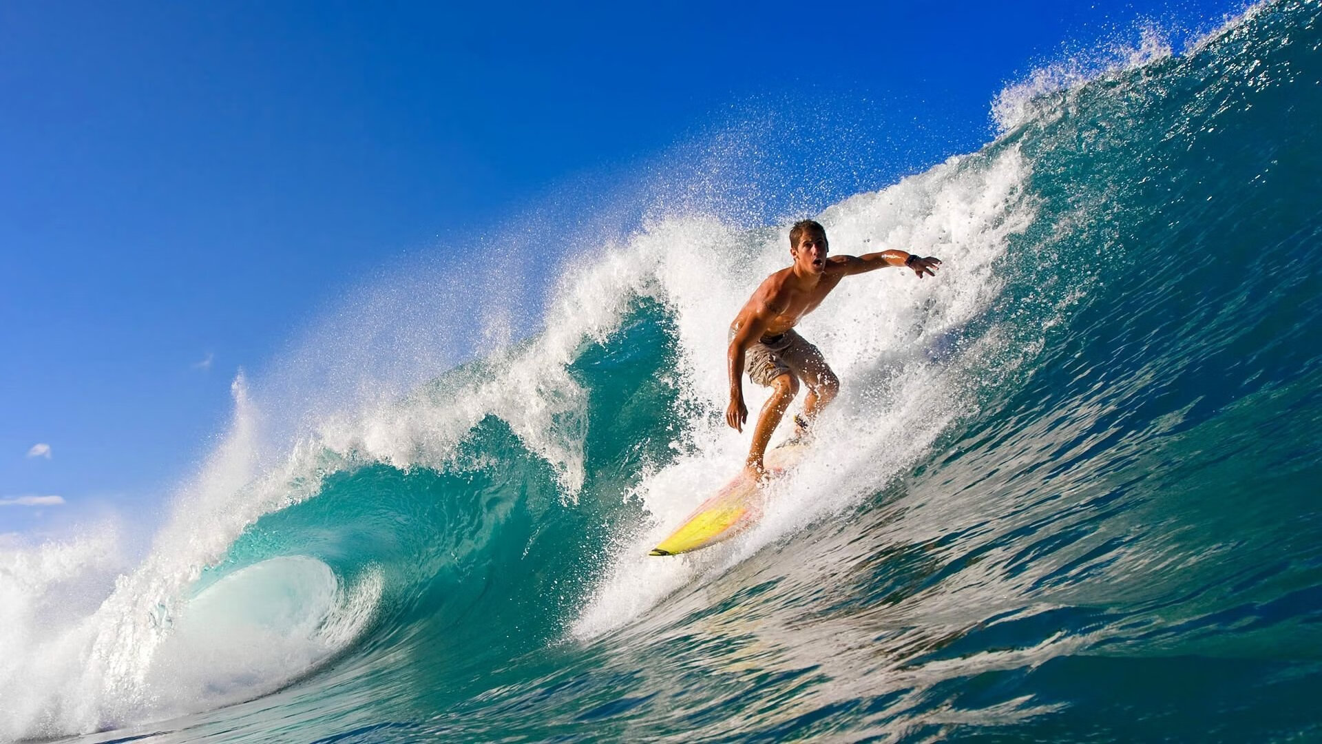 篮球地理学的意外交汇，当约基奇在魔术主场点燃了上海队